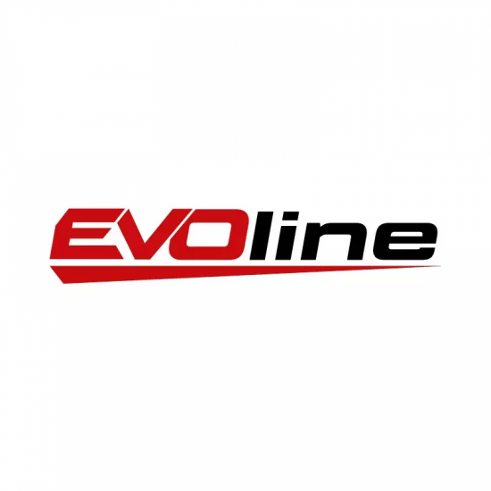 Двигатель бензиновый EVOline GB 750 B EFI